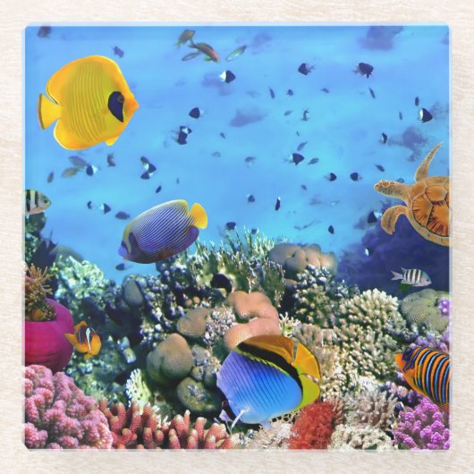 ガラスのコースター海生活 ガラスコースター (正面)