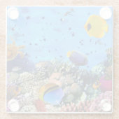 ガラスのコースター海生活 ガラスコースター (裏面)