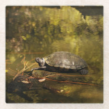 ガラスのコースター – Turtle on Log in Pond