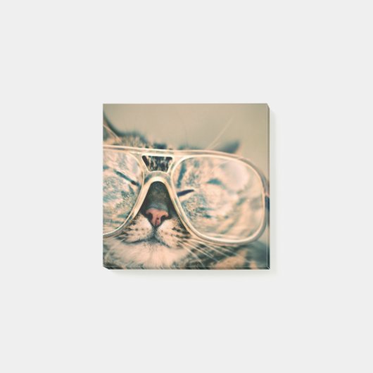 ガラスの写真のプリントのクールな猫 ポストイット (正面)