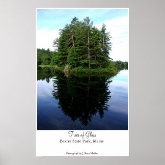 ガラスの木 ポスター