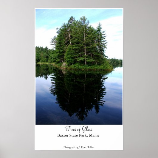 ガラスの木 ポスター (正面)