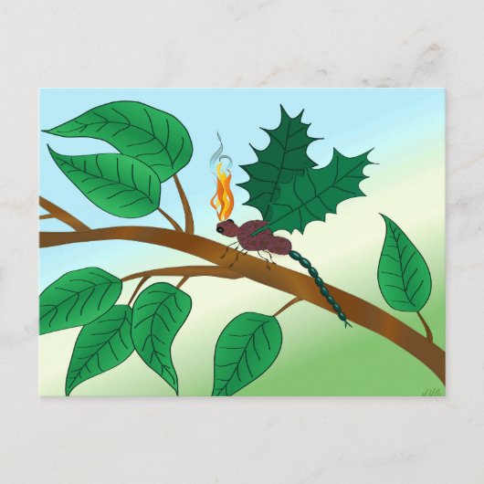 ガラスの虫を探す – Snapdragon-Fly ポストカード (正面)