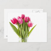 ガラスの赤と白花瓶のチューリップの束 ポストカード (正面/裏面)