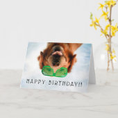 ガラスを持つGettyのイメージ|犬 カード (黄色い花)