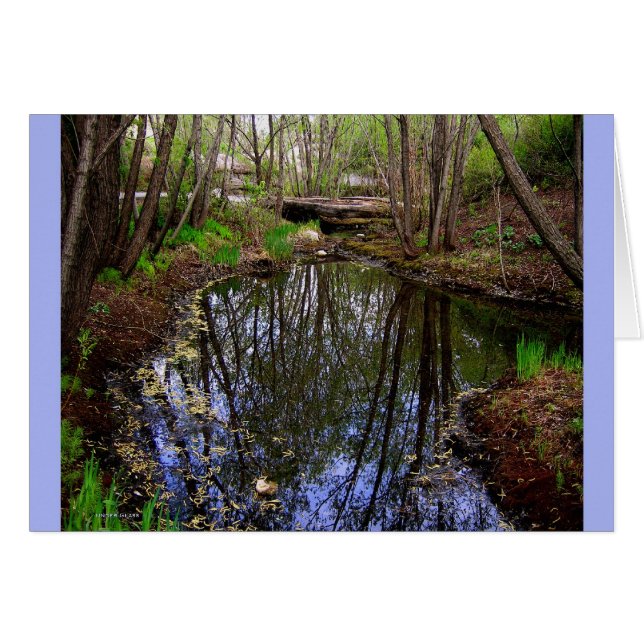 ガラスカードの下 (正面横)