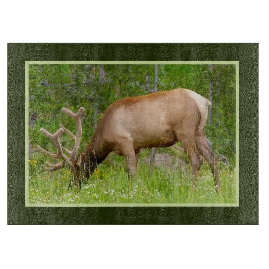 ガラスキッチンのカッティングボード – イエローストーンエルク カッティングボード (正面)