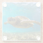 ガラスコアスター・ウミガメ ガラスコースター (裏面)