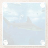 ガラスコアスター – サメ ガラスコースター (裏面)