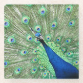 ガラスコアスター – 孔雀 ガラスコースター (正面)