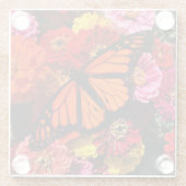 ガラスコアスター – （昆虫）オオカバマダラ、モナークバタフライジンニア ガラスコースター (裏面)