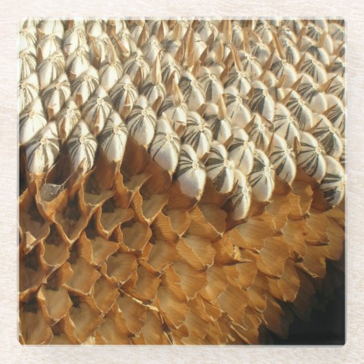 ガラスコースター – ひまわり種子 (正面)