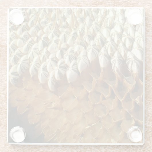 ガラスコースター – ひまわり種子 (裏面)