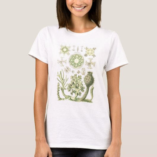 ガラススポンジ Tシャツ (正面)