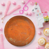 ガラステラコッタ仕フェイク上げ ペーパープレート (パーティー)