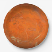 ガラステラコッタ仕フェイク上げ ペーパープレート (正面)