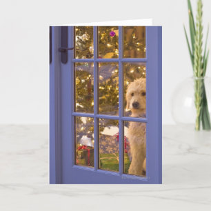 ガラスドアをとの見ている金落書きの子犬 シーズンカード