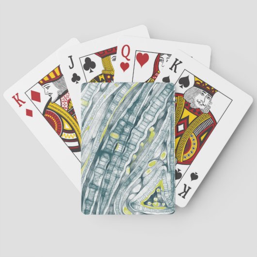 ガラス下の藻類 トランプ (裏面)