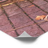 ガラス付き緑木戸 ポスター (角)