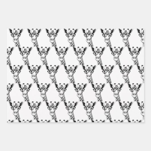 ガラス描ラッピング付きキリン紙 ラッピングペーパーシート (正面)