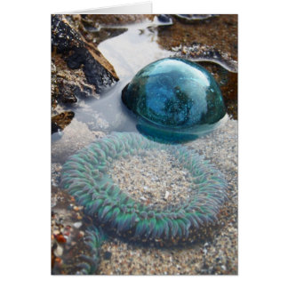 ガラス浮遊物およびアネモネ