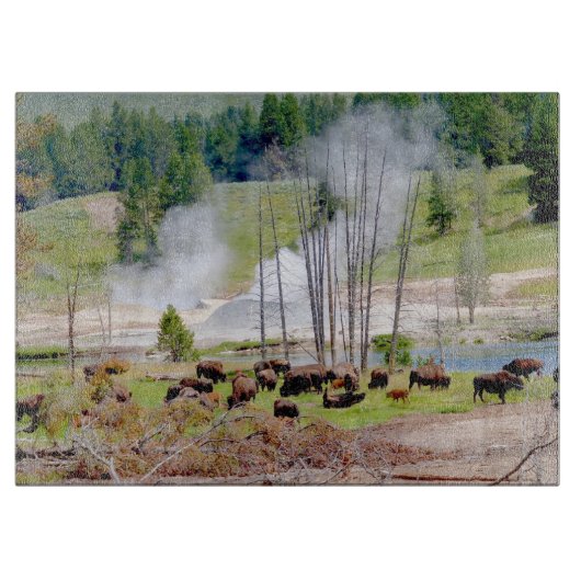 ガラス製キッチンカットボード – イエローストーンビソン カッティングボード (正面)