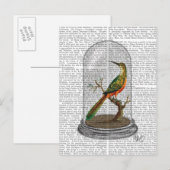 ガラス鐘の鳥 ポストカード (正面/裏面)