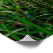 ガラス魚釣りつるがロープ網で浮く ポスター (角)