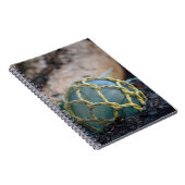 ガラス魚釣り浮き、垂直 ノートブック (右側)