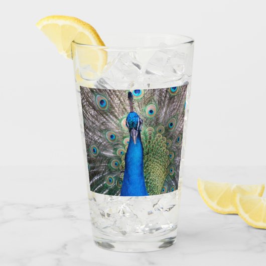 ガラス002 -孔雀 タンブラーグラス (アイス正面)