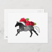 ガラズィクールウマブラック+ホワイトネブラ(バラ付) ポストカード (正面/裏面)