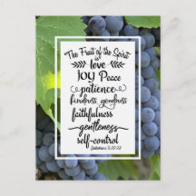 ガラテヤ書5:22-23　聖霊の実