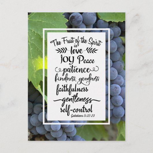 ガラテヤ書5:22-23 聖霊の実 ポストカード (正面)