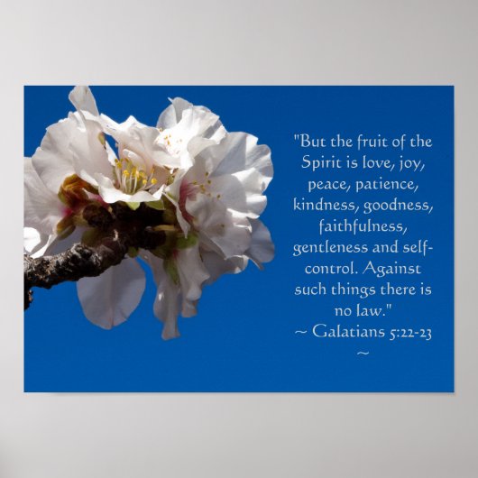 ガラテヤ5:22,23ポスター ポスター (正面)