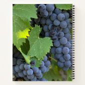 ガラテヤ5:22-23霊の実 ノートブック (裏面)