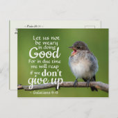 ガラテヤ6:9わたしたちは良いことをすることに疲れないようにしよう ポストカード (正面/裏面)