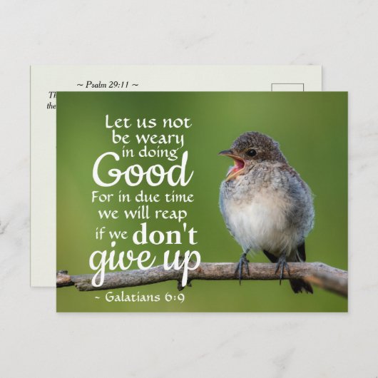 ガラテヤ6:9わたしたちは良いことをすることに疲れないようにしよう ポストカード (正面/裏面)