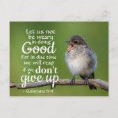 ガラテヤ6:9わたしたちは良いことをすることに疲れないようにしよう ポストカード (正面)