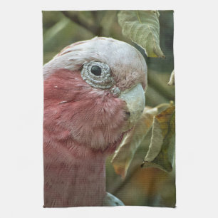 ガラハオウムネオウムガイ オーストラリアの鳥の肖像画 キッチンタオル