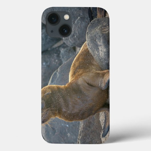 ガラパゴスのアシカ Case-Mate iPhoneケース (裏面)