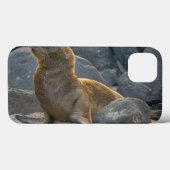 ガラパゴスのアシカ Case-Mate iPhoneケース (裏面 (横))
