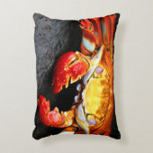 ガラパゴスのカニ アクセントクッション (正面(垂直))