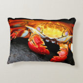 ガラパゴスのカニ アクセントクッション (裏面)