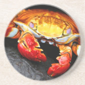 ガラパゴスのカニ コースター (正面)