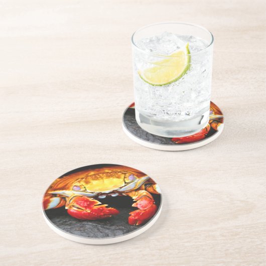 ガラパゴスのカニ コースター (側面)