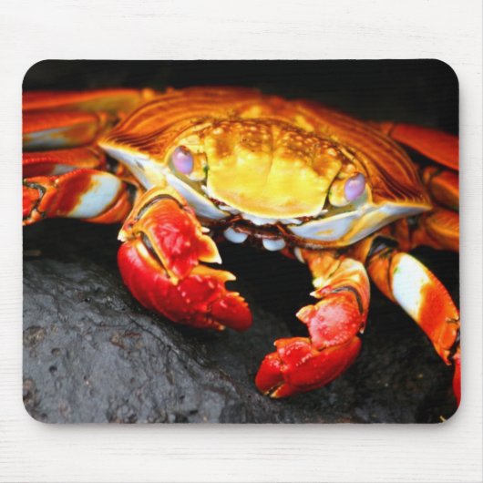 ガラパゴスのカニ マウスパッド (正面)