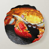 ガラパゴスのカニ ラウンドクッション (裏面)