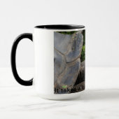 ガラパゴスのカメのマグ マグカップ (左)