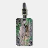 ガラパゴスのカメの荷物のラベル ラゲッジタグ (正面縦)