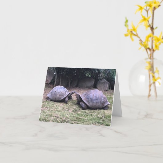 ガラパゴスのカメのnotecard カード (黄色い花)